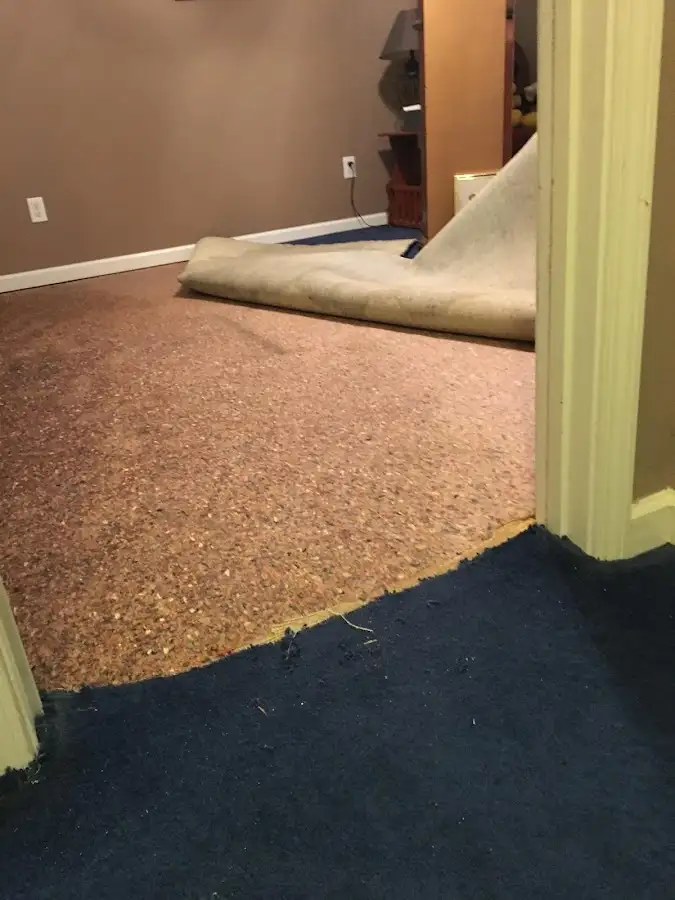 Carpet pad removal revealing water damage during Water Mitigation Services in Lake Forest